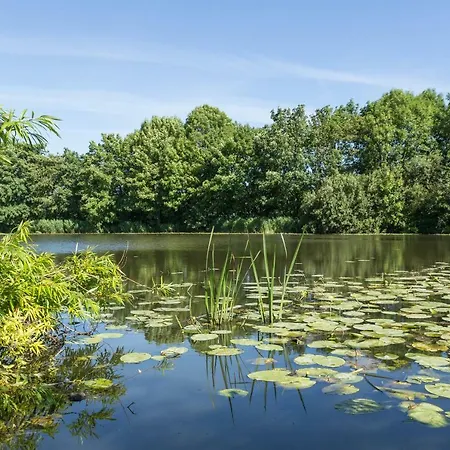 Luxury tent De Groote Wijzend