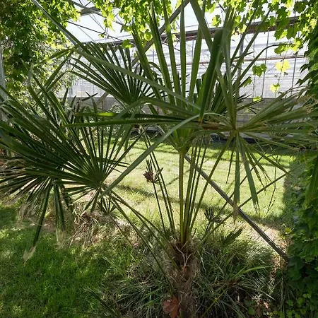 럭셔리텐트 De Groote Wijzend